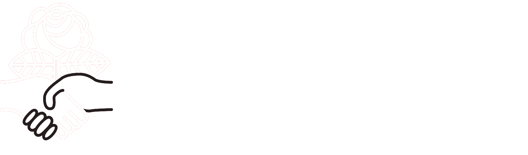 West Suburban Illinois DSA
